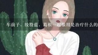 车前子，绞股蓝，葛根一起服用是治疗什么的