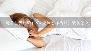 魔兽世界奶骑在SW应该怎样治疗？装备怎么搭配比较好？