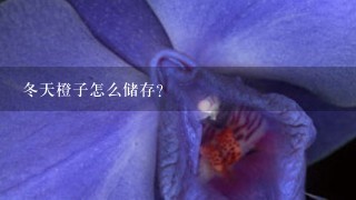 冬天橙子怎么储存？