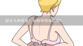 貂分几种质量？如何辨别真假貂？