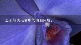 怎么解决毛囊中的油脂问题？