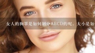 女人的胸罩是如何划分ABCD的呢，大小是如何的呢？