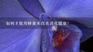 如何才能用蜂蜜来改善消化健康?