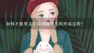 如何才能用文字描述皮下毛的形成过程?