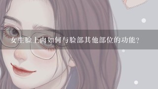 女生脸上肉如何与脸部其他部位的功能?