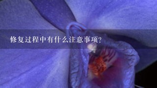 修复过程中有什么注意事项?